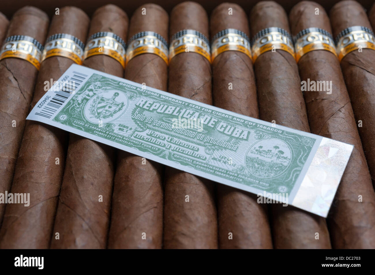 Cohiba esplendido sigari Avana da Cuba con etichetta. Foto Stock
