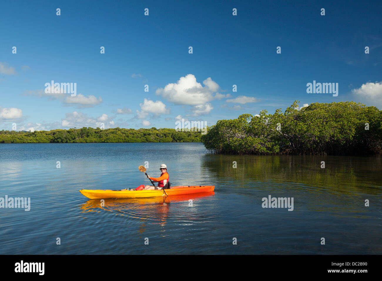 Donna kayak attraverso le mangrovie protette aree in Yap, Micronesia. (MR) Foto Stock