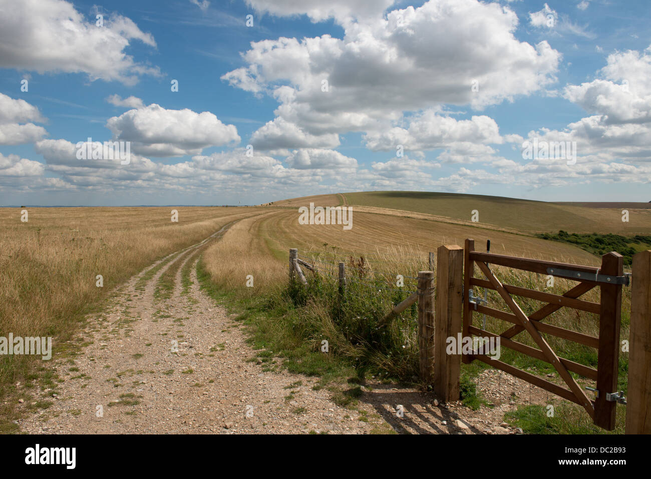 Vista del paesaggio di South Downs la via che conduce alla Collina del Castello Riserva Naturale, East Sussex, England, Regno Unito Foto Stock