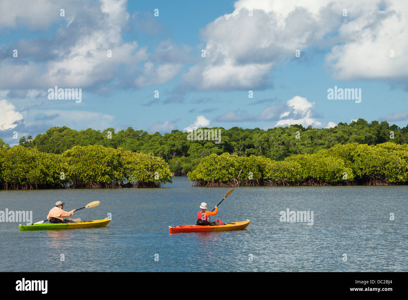 L uomo e la donna in kayak attraverso le mangrovie protette aree in Yap, Micronesia. (MR) Foto Stock