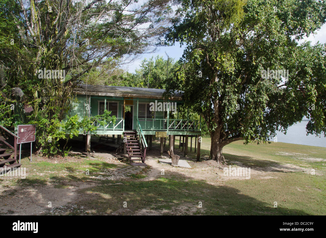 Belize, Crooked Tree Wildlife Sanctuary Centro Visitatori. Foto Stock
