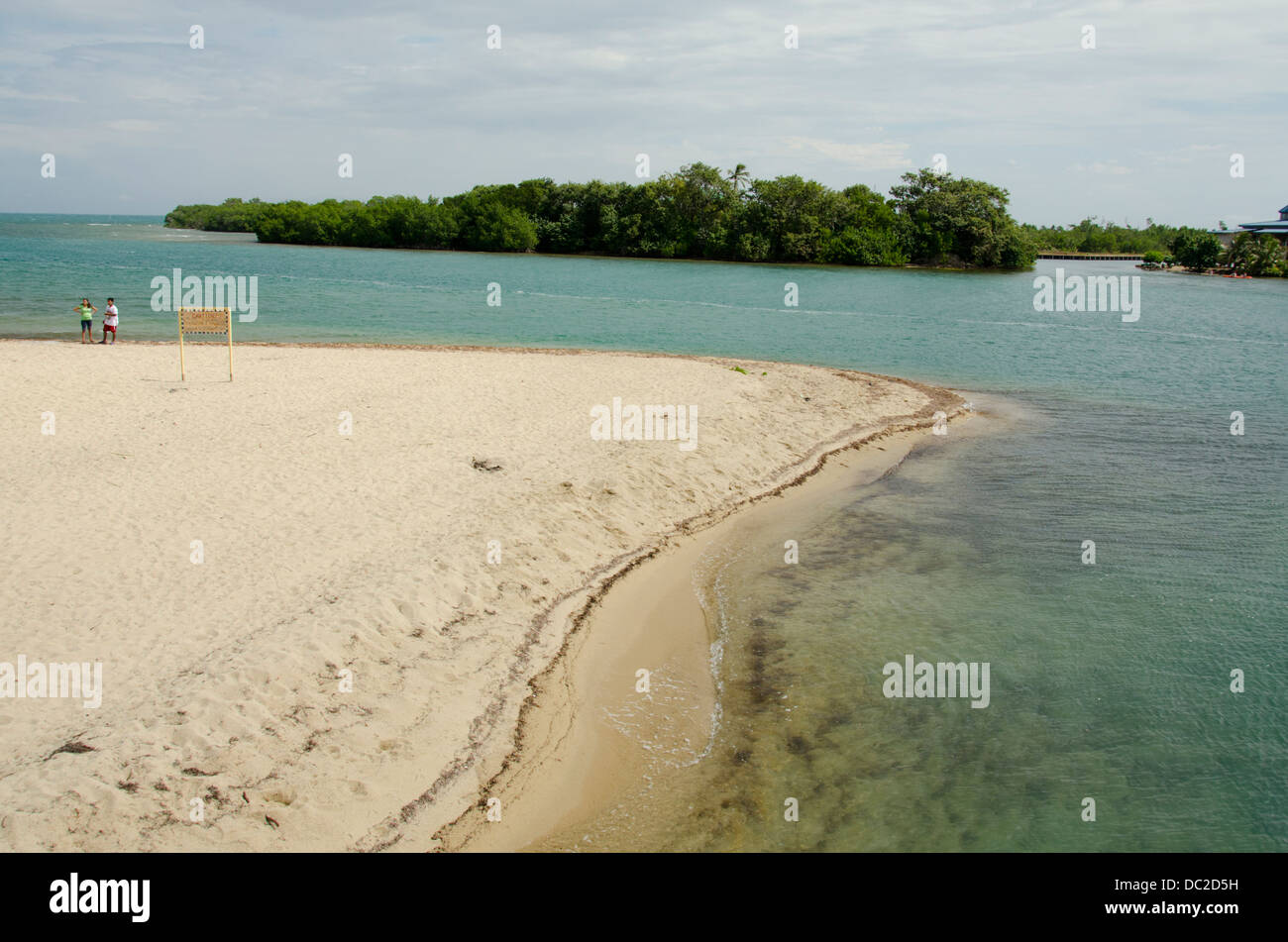 Belize, Placencia. Spiaggia costiera della piccola isola di Porto di Placencia. Foto Stock