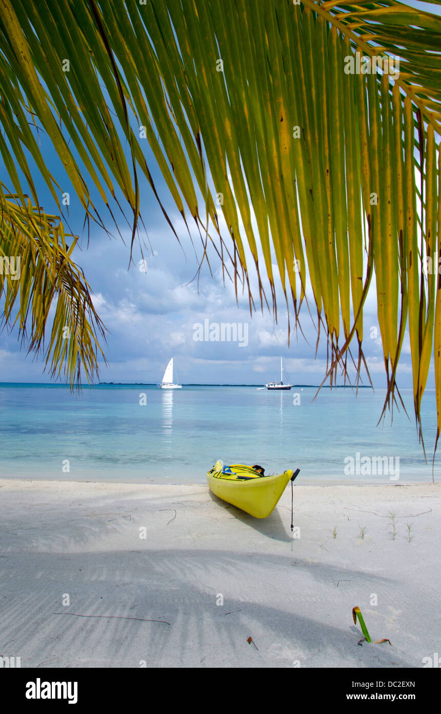 Belize, il Mare dei Caraibi, Stann Creek, Southwater Cay. I kayak sulla spiaggia di sabbia bianca di Southwater Cay. UNESCO. Foto Stock