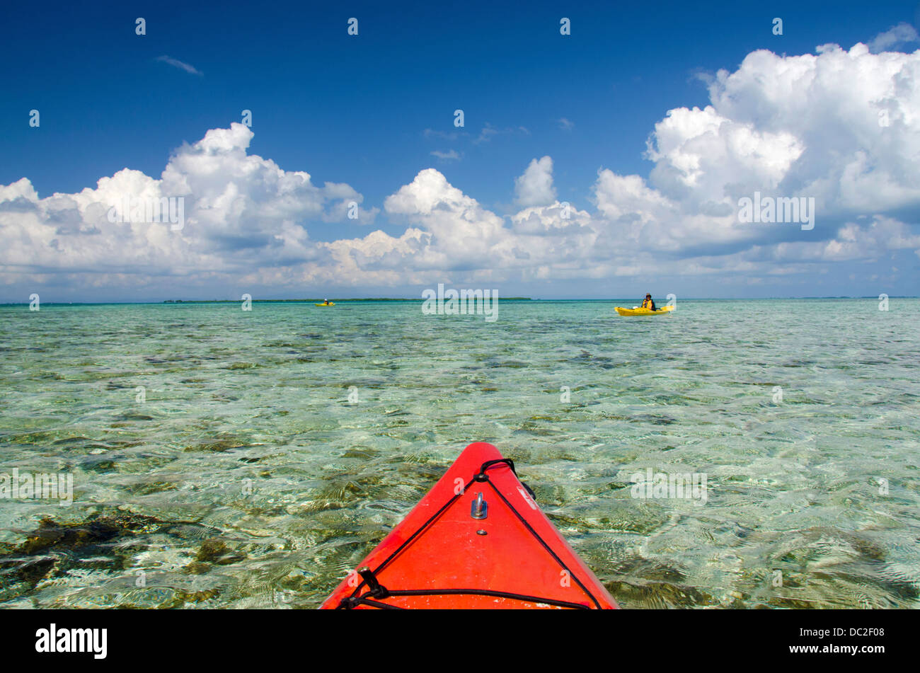 Belize, il Mare dei Caraibi, Stann Creek, Southwater Cay. Il kayak sulla barriera corallina nelle limpide acque al largo della costa Southwater Cay. Foto Stock
