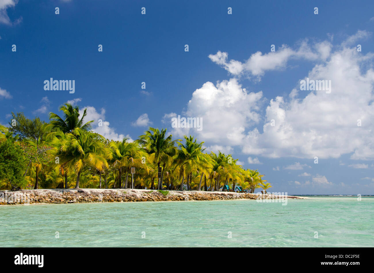 Belize, Stann Creek, Southwater Cay. Litorale dell'isola nel mare dei Caraibi al largo della costa della Southwater Cay. UNESCO. Foto Stock