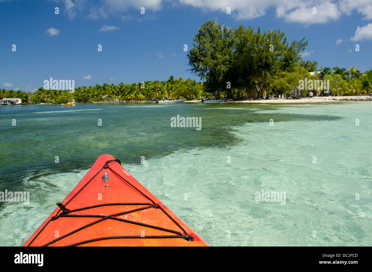 Belize, il Mare dei Caraibi, Stann Creek, Southwater Cay. Il kayak nelle limpide acque off Southwater Cay. UNESCO. Foto Stock