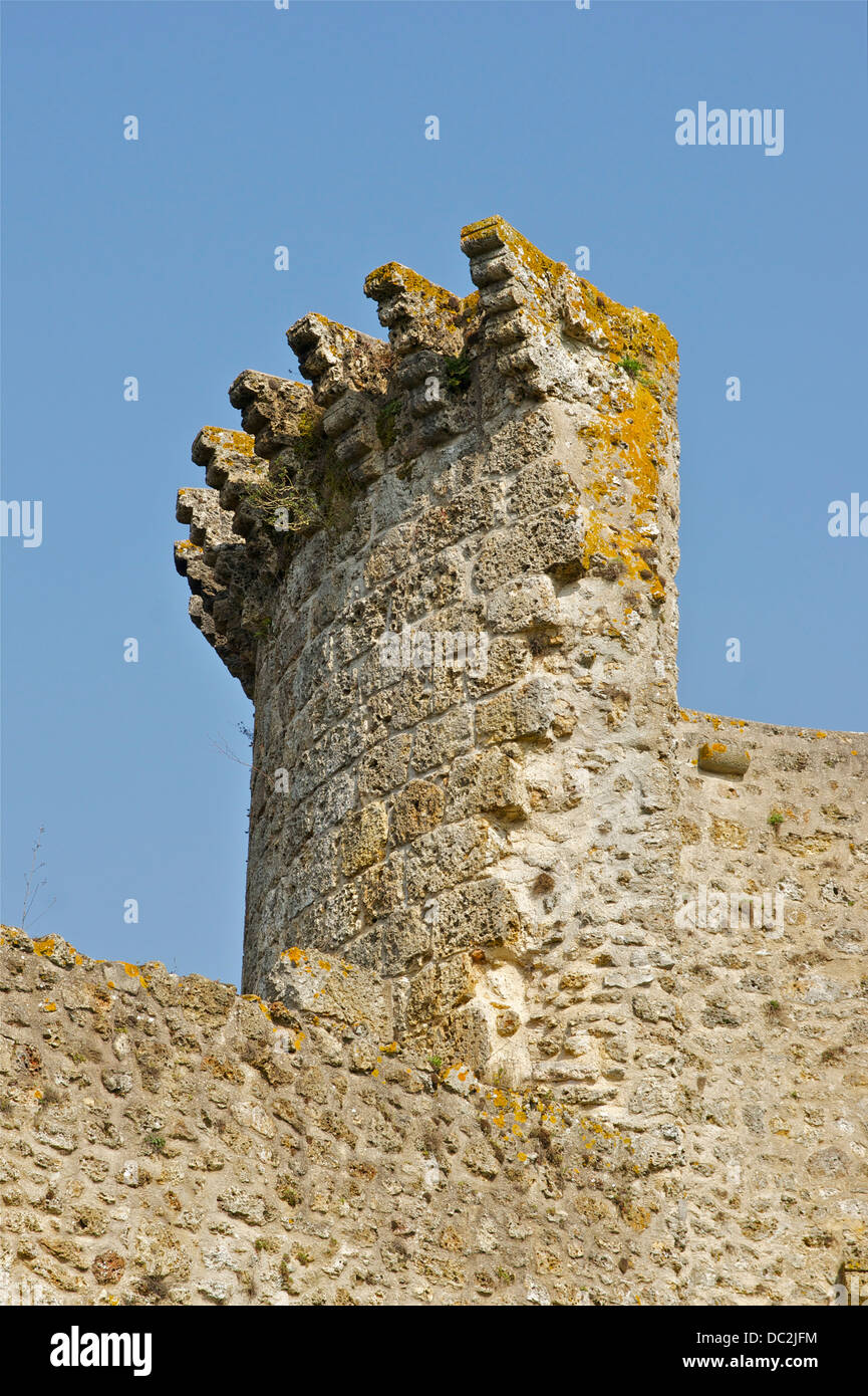 Dettaglio di una torre in rovina, Château de la Madeleine, Chevreuse, Yvelines, Francia. Foto Stock
