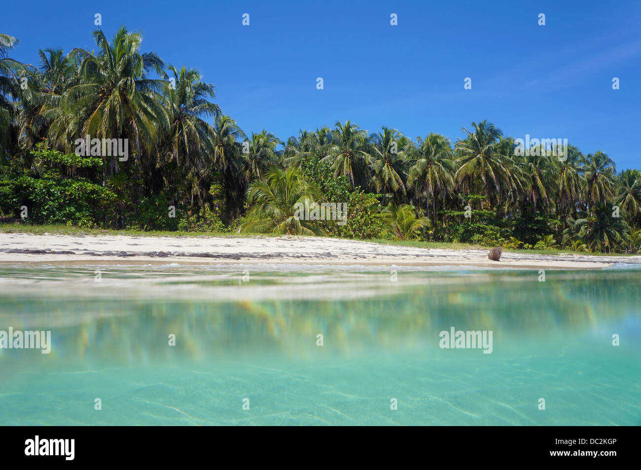Spiaggia tropicale con vegetazione lussureggiante preso dalla superficie dell'acqua, il mare dei Caraibi, Zapatillas isole di Bocas del Toro, Panama Foto Stock