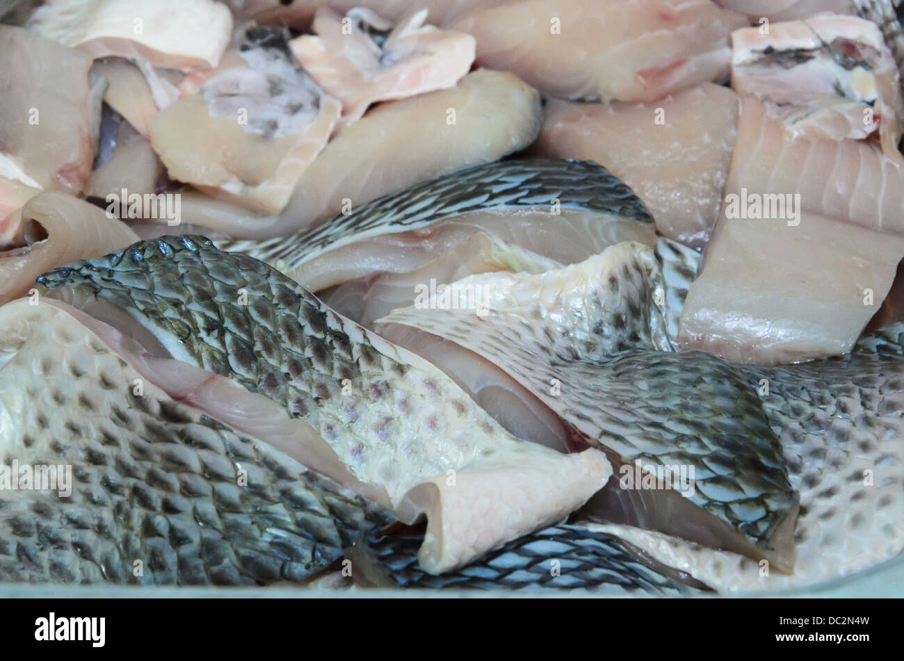 Pezzi di striped snakehead pesci pronti per la cottura Foto Stock