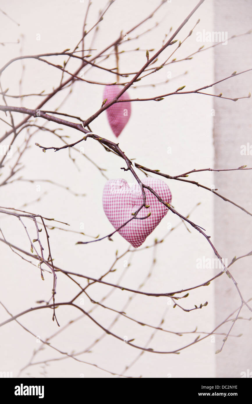 Paio di fatti a mano cuori romantica appeso sul ramo Foto Stock