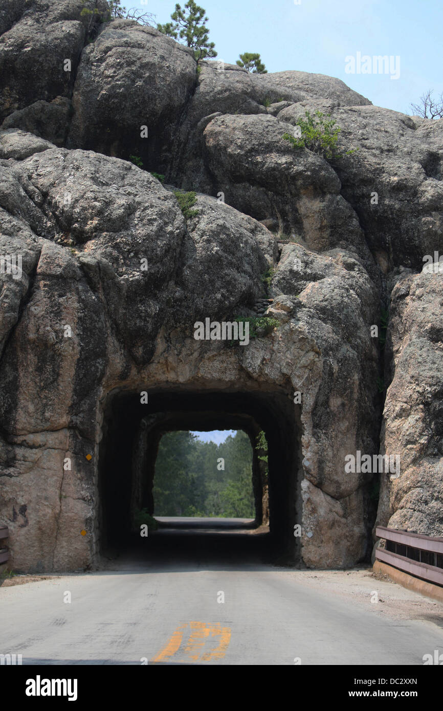 Needles Highway Foto Stock