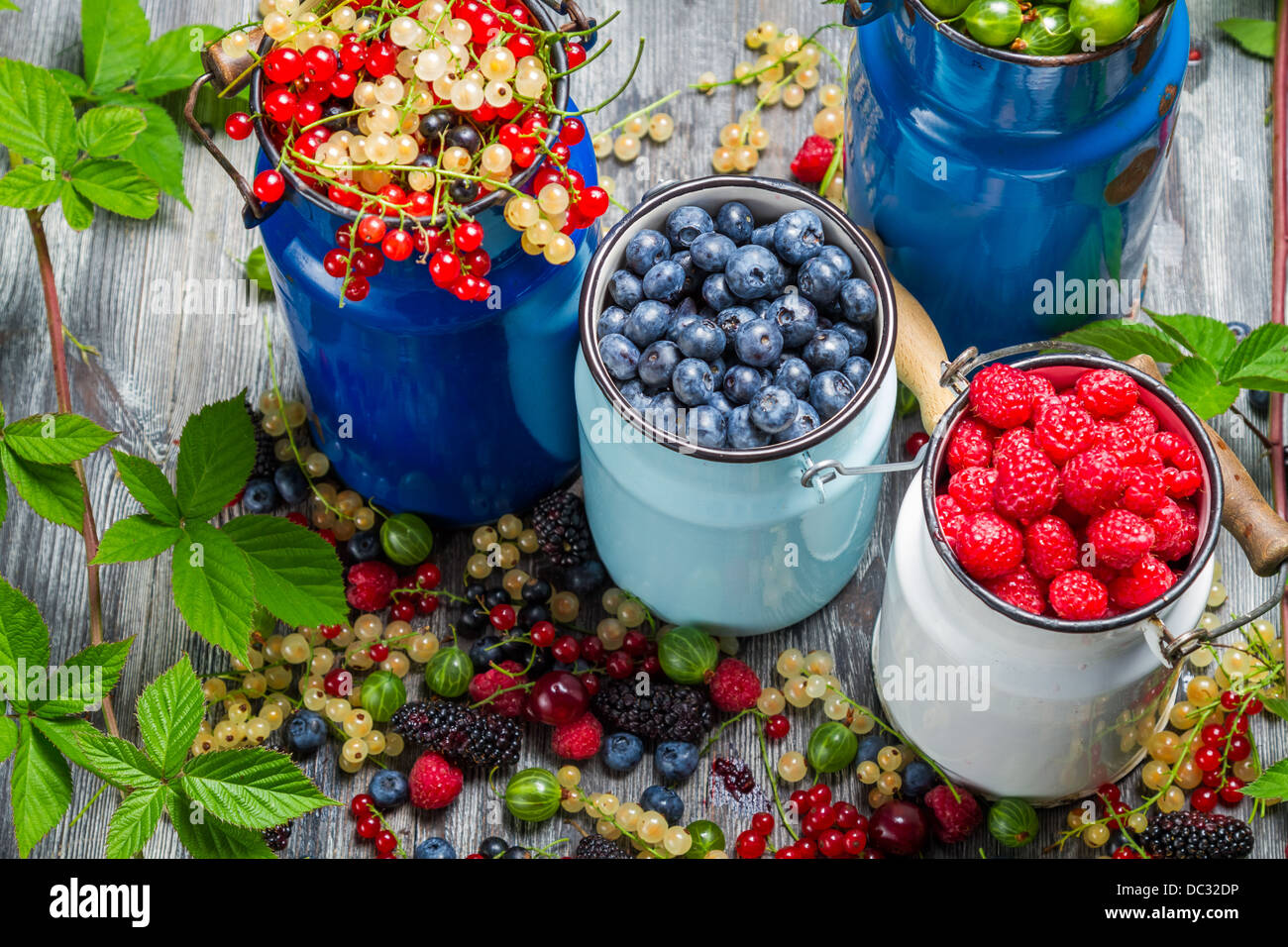 Primo piano della raccolta di freschi frutti di bosco Foto Stock