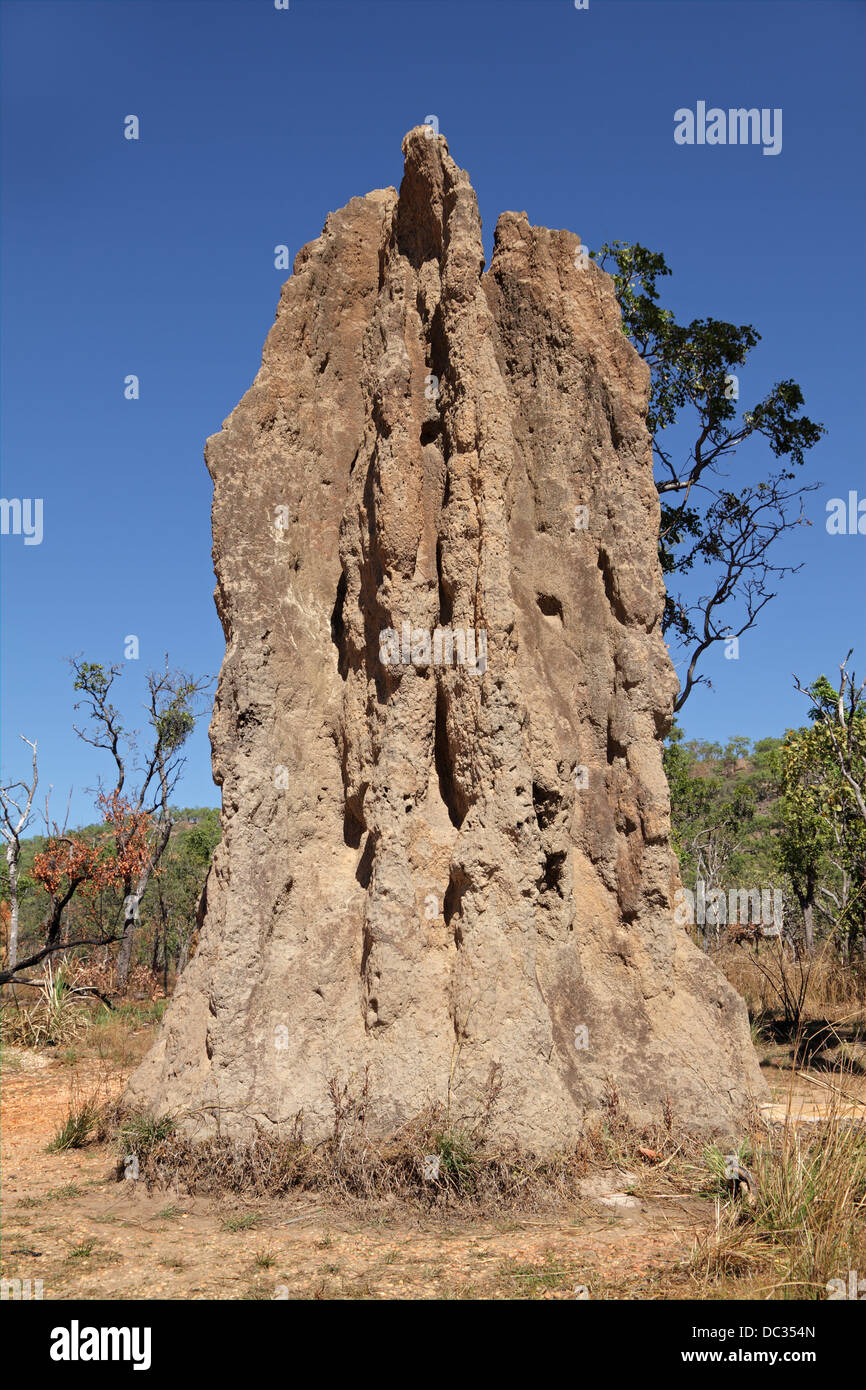 Imponente cattedrale termite mound, Parco Nazionale Kakadu, Territorio del Nord, l'Australia Foto Stock