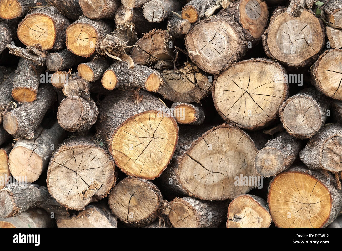 Catasta di legna da ardere di texture di sfondo Foto Stock
