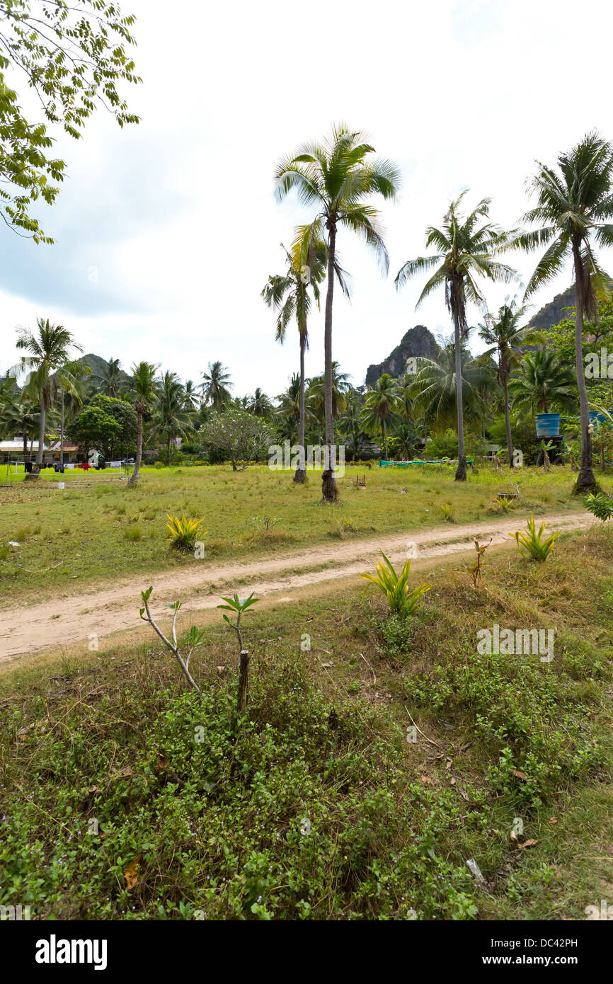 Paesaggio della giungla in modo da occidente a oriente Railay Beach nella provincia di Krabi, Thailandia Foto Stock