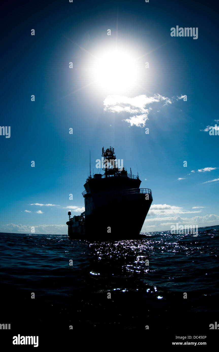 Silhouette di un offshore recipiente di alimentazione. Foto Stock