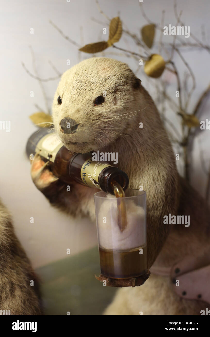 Una divertente scena di tassidermia a mocassino Bar in Haward, Wisconsin. Foto Stock