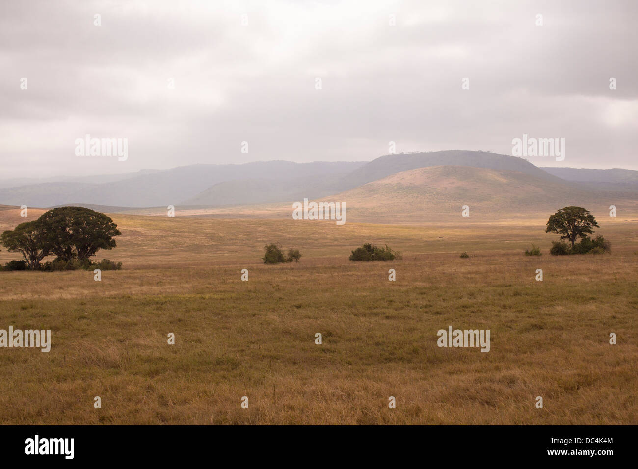 Scenic vista del cratere di Ngorongoro in Tanzania, Africa Foto Stock