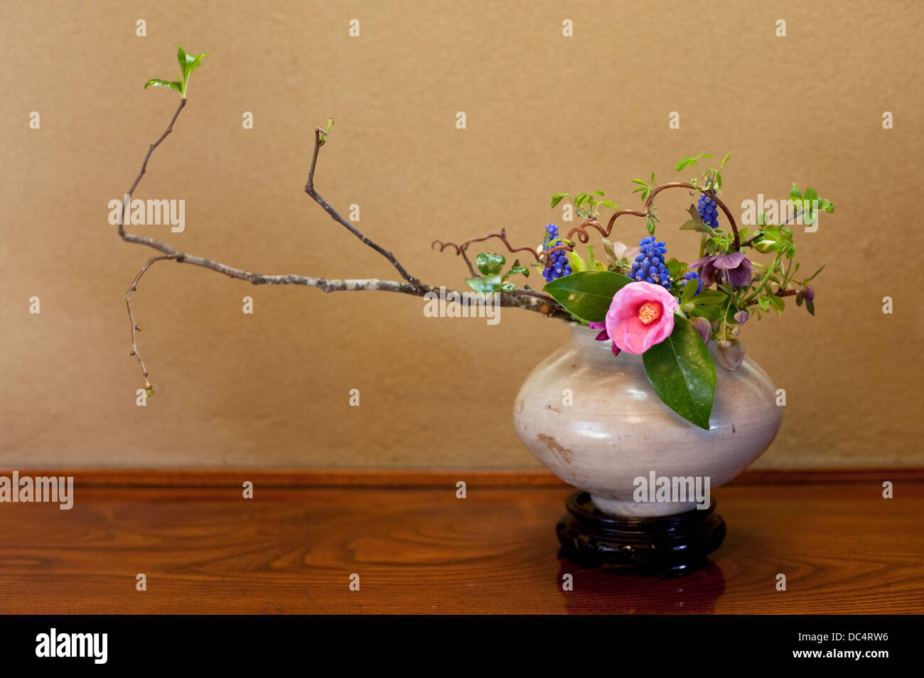 Inizio della primavera di ikebana disposizione con fiori di camelie e rami in erba. Foto Stock