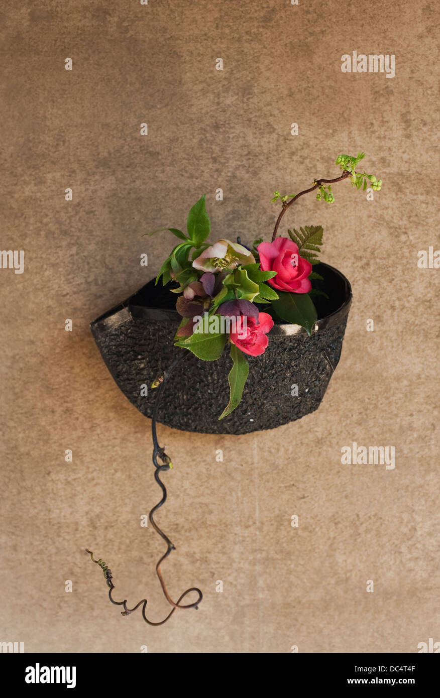 Inizio della primavera di ikebana disposizione con fiori di camelie e rami in erba. Foto Stock