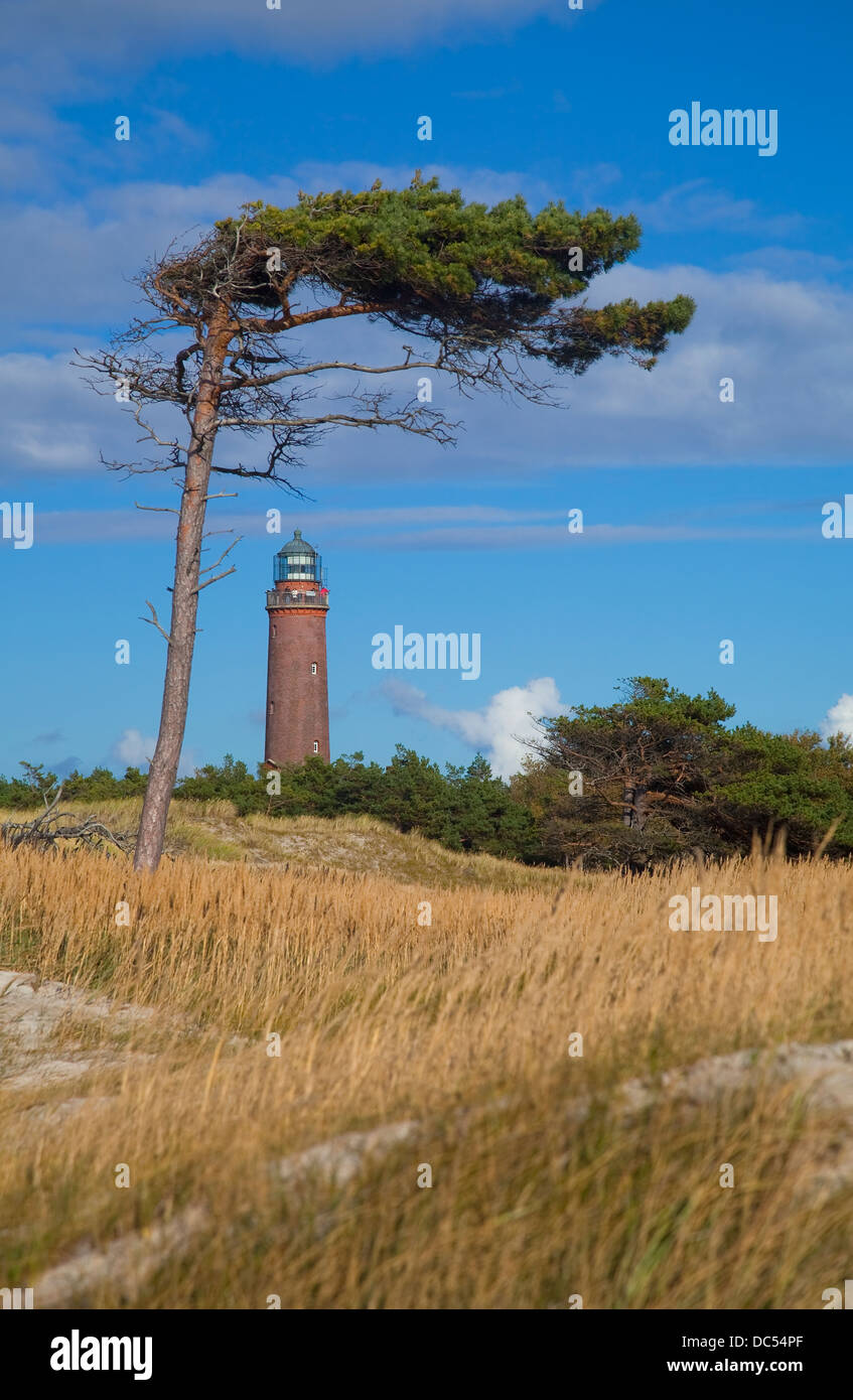 Europa, Deutschland, Meclenburgo-Pomerania,Fischland-Darss-Zingst,Prerow Lighthouse Darsser Ort Foto Stock