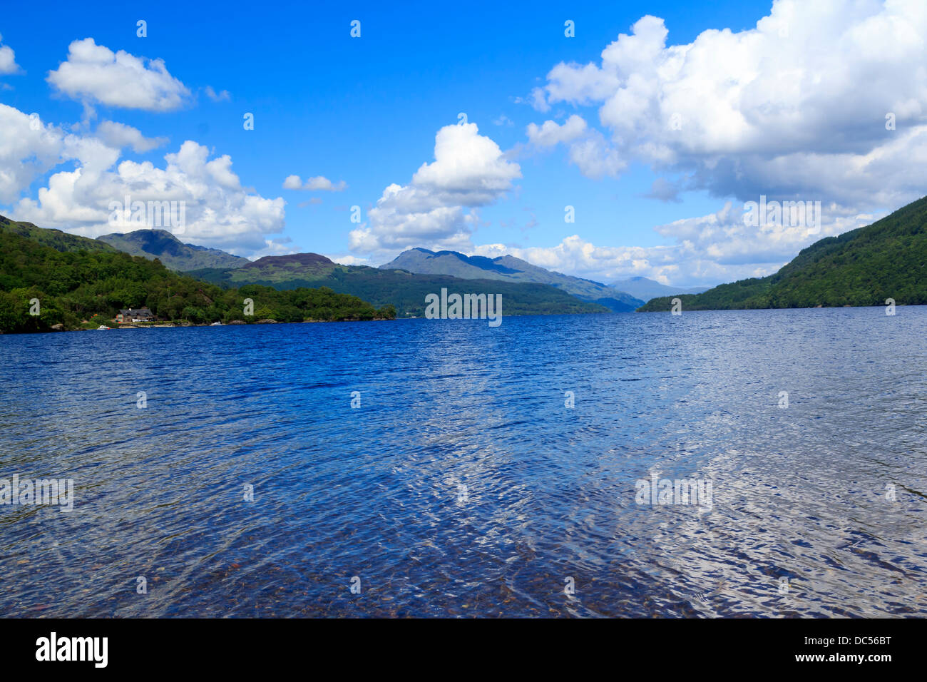 Punto Firkin a Loch Lomond e nel Trossachs Parco Nazionale di Scozia UK Foto Stock