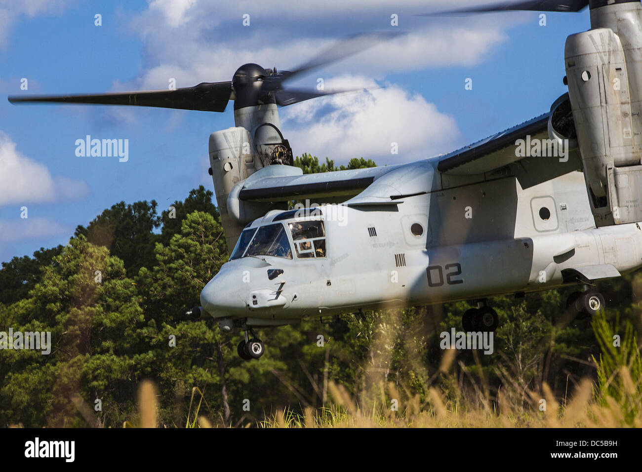 Un US Marine Corp MV-22 Osprey aeromobile atterra in un campo durante un incidente di massa esercitazione di evacuazione Agosto 7, 2013 al Marine Corps base Camp Lejeune, North Carolina. Foto Stock