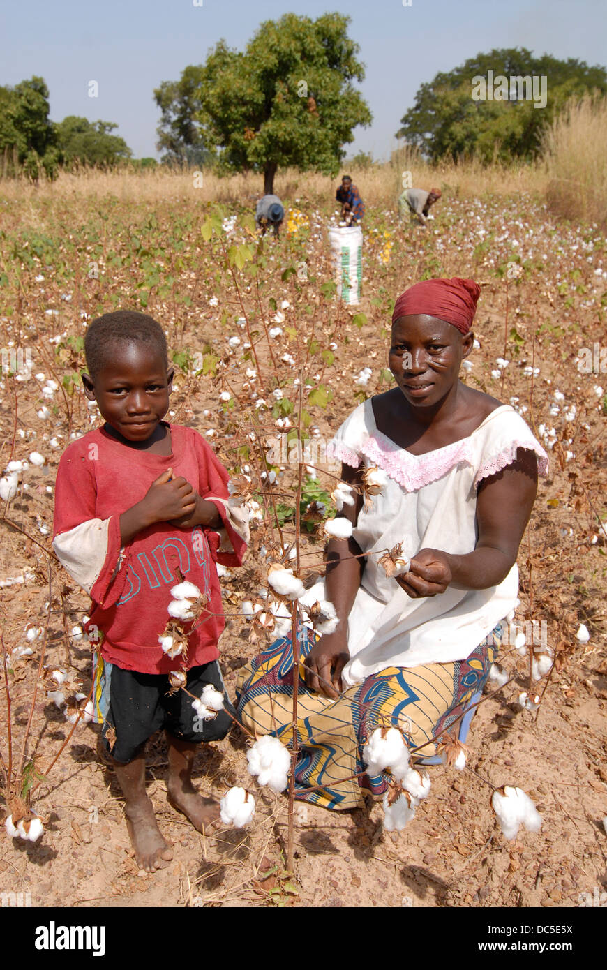 Il Burkina Faso, il commercio equo e solidale e di cotone organico progetto, agricoltore della cooperativa UNPCB in villaggio Kayao Foto Stock