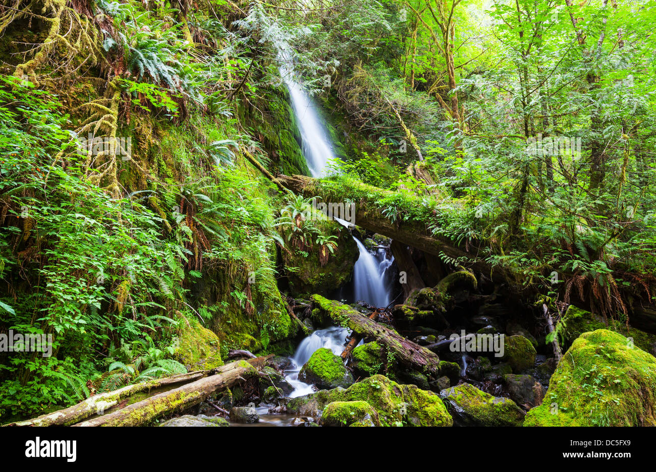 La cascata nel bosco Foto Stock