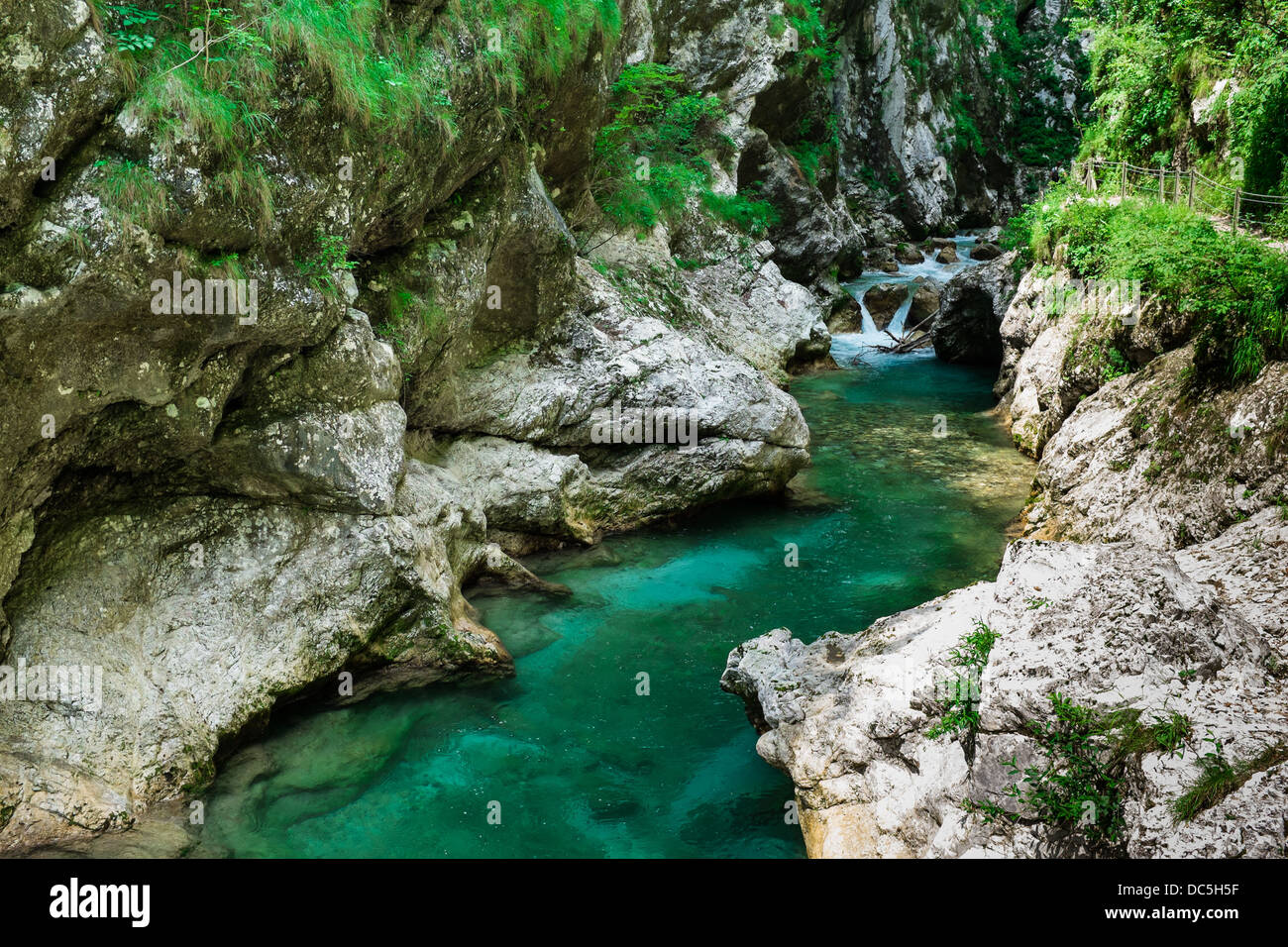 Tolminka sulla gola del fiume nei pressi di Tolmin Slovenia Foto Stock