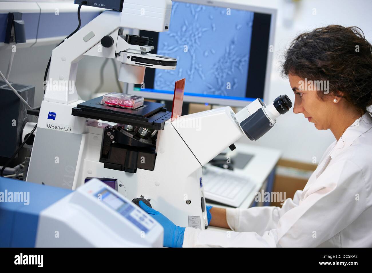 Invertiti al microscopio ottico di strumentazione di laboratorio analisi al  microscopio a fluorescenza invertito la crescita di cellula Foto stock -  Alamy