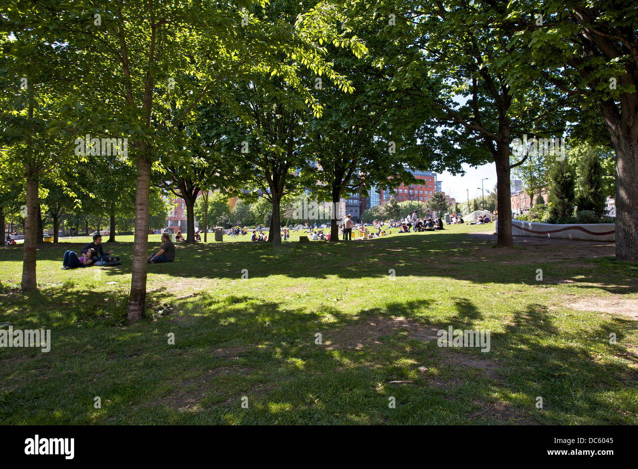 Vista di Devonshire verde in estate, Sheffield Foto Stock