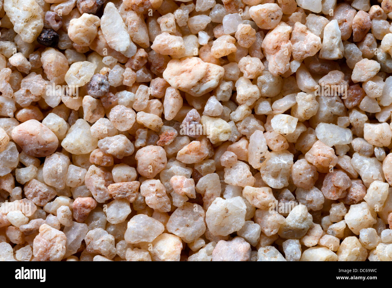 Gli sfondi e texture: sabbia grossa superficie, close-up shot Foto Stock