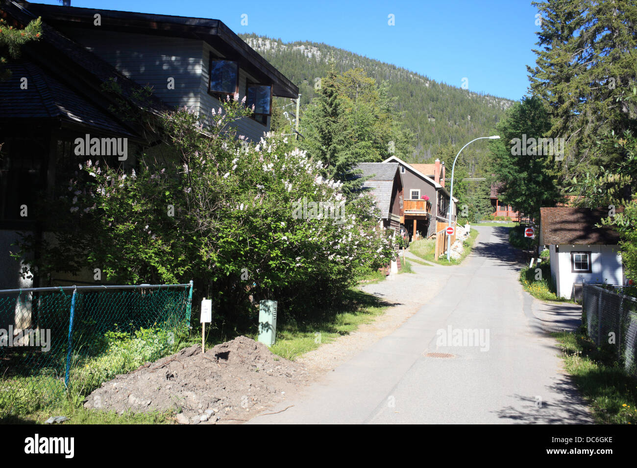 Strade verde nel villaggio di Banff in Banff National Park in Alberta Foto Stock