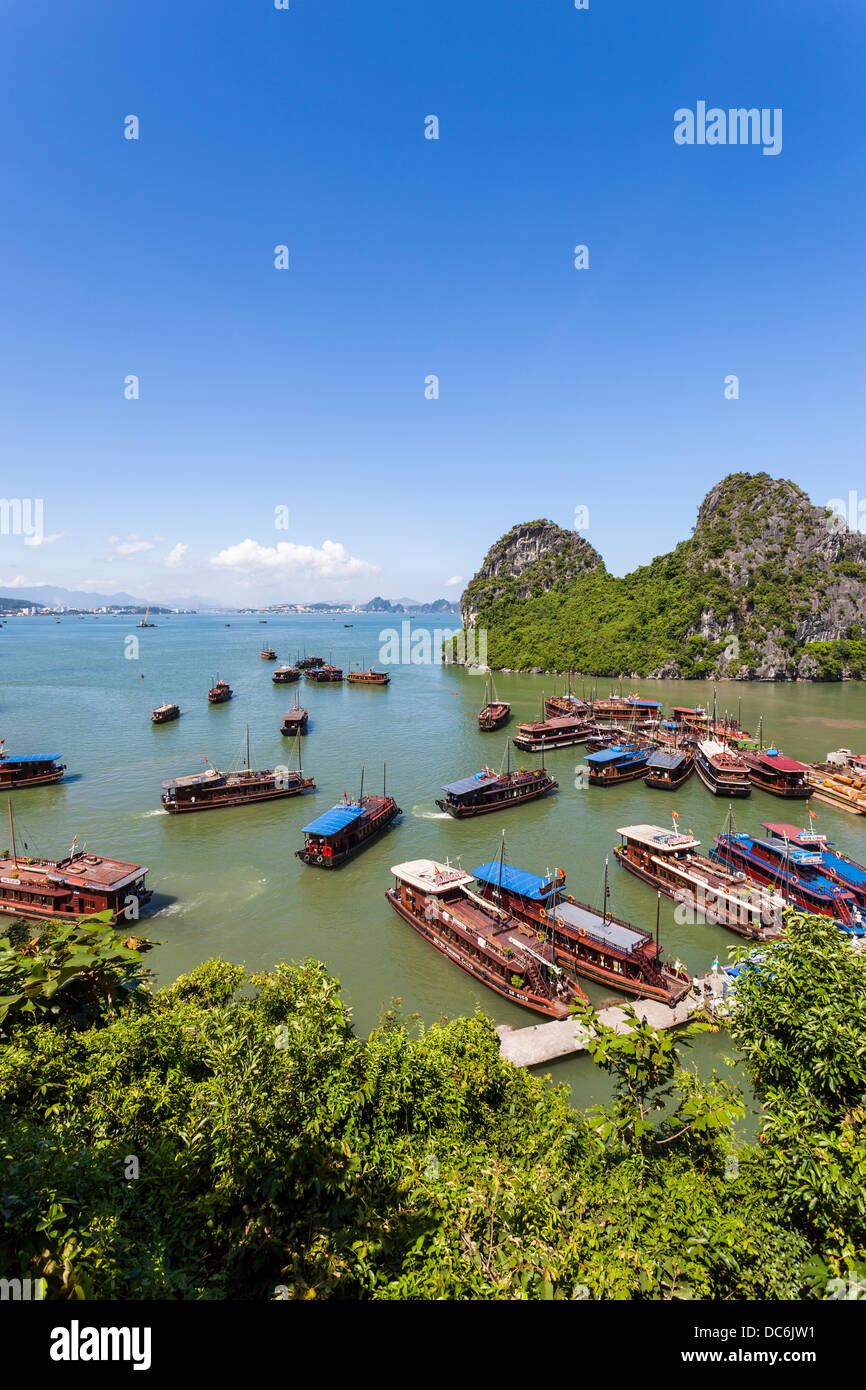 Giunche vietnamite sulla baia di Halong Foto Stock