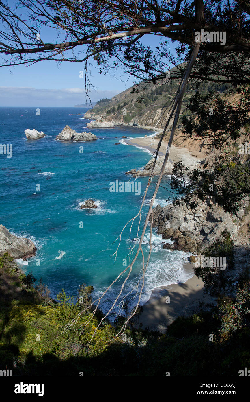 Vista costiera a Julia PFEIFFER Membro Park lungo la Highway 1 sul Big Sur Costa, California. Foto Stock