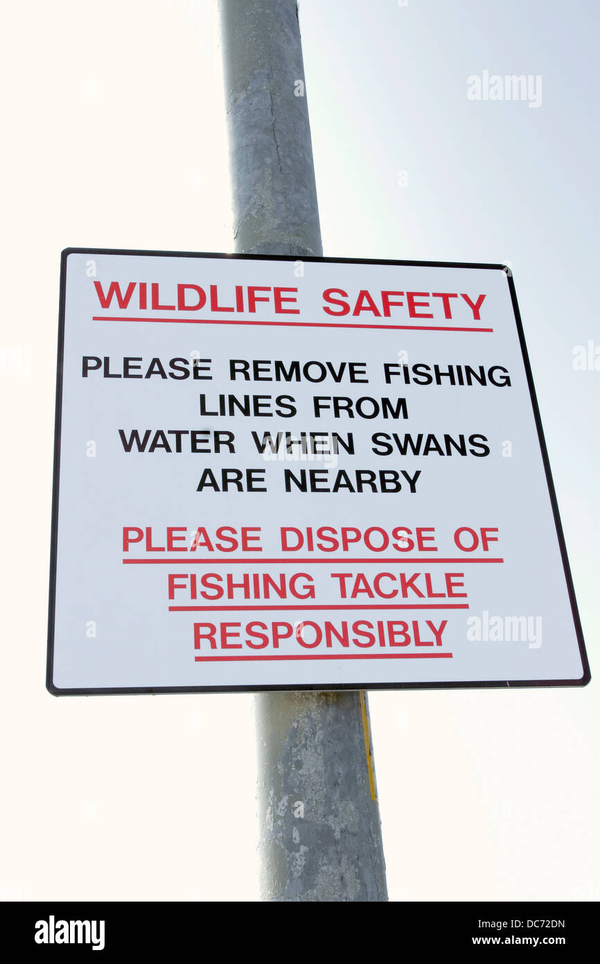 Una fauna selvatica avviso di sicurezza chiedendo ai pescatori di comportarsi in modo responsabile quando i cigni sono nelle vicinanze. Foto Stock