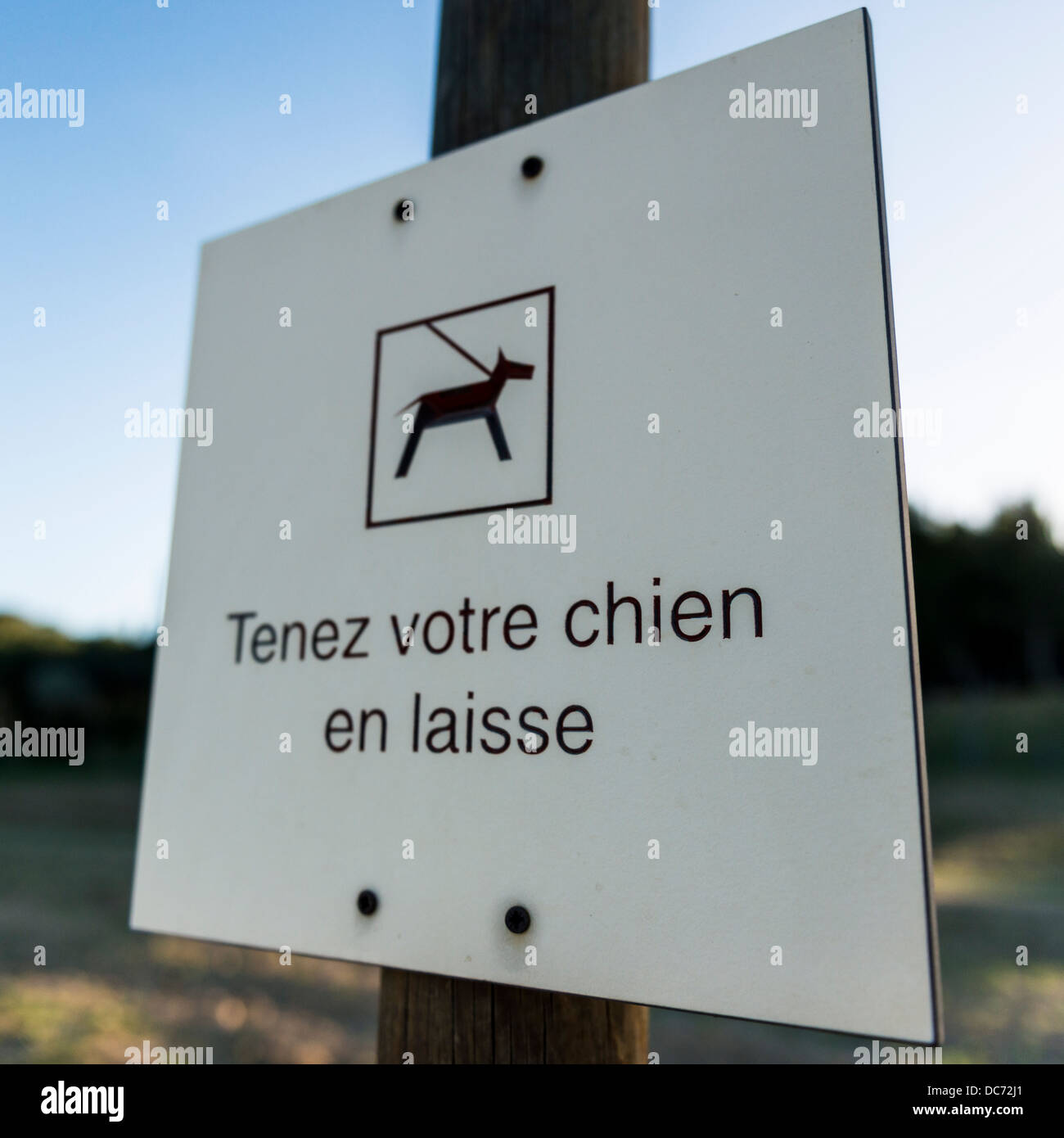 Mantenere il cane al guinzaglio sign in francese, Francia Foto Stock