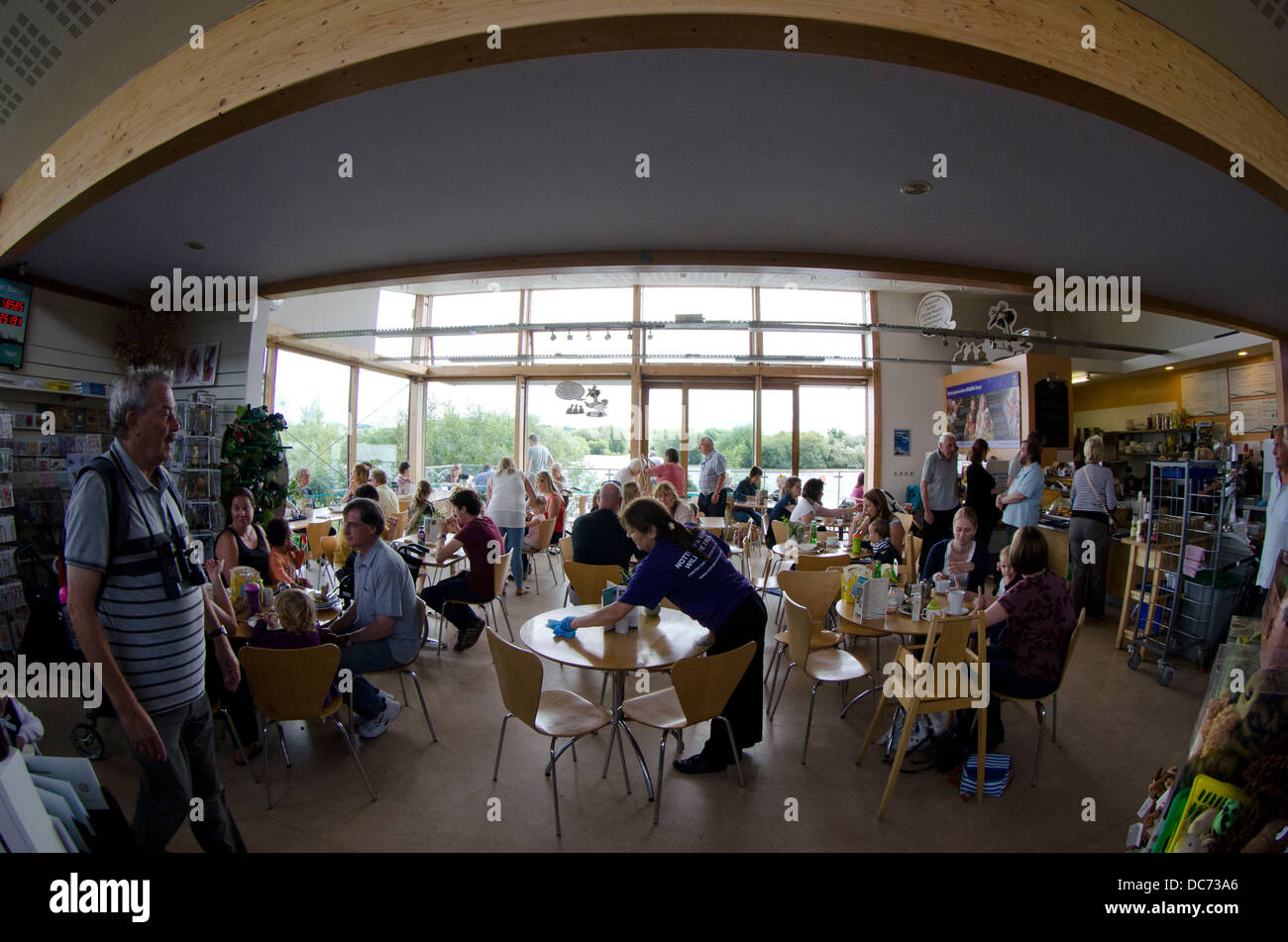 Cafe al centro visitatori Foto Stock