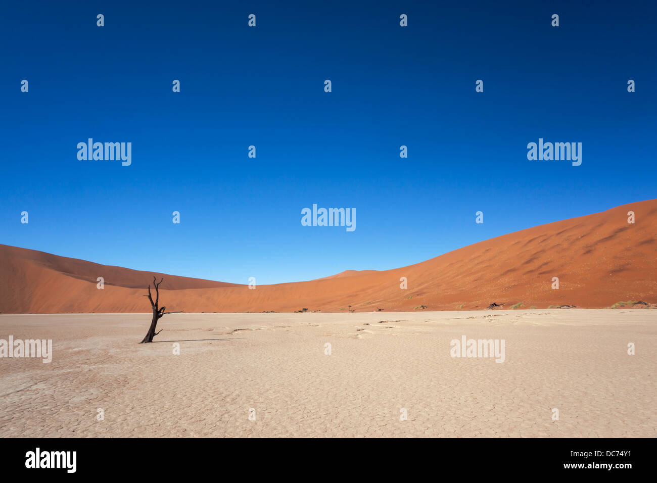 Dead Vlei, Namib Desert, Namibia, Aprile 2013 Foto Stock