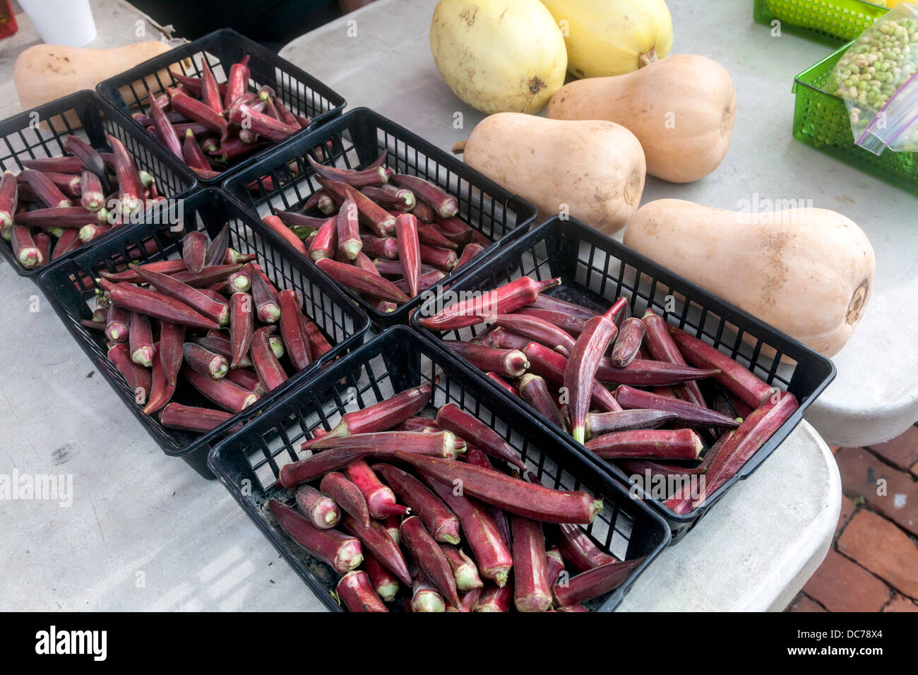 Red okra chiamato Hill Country rosso in plastica nera cesti. Foto Stock