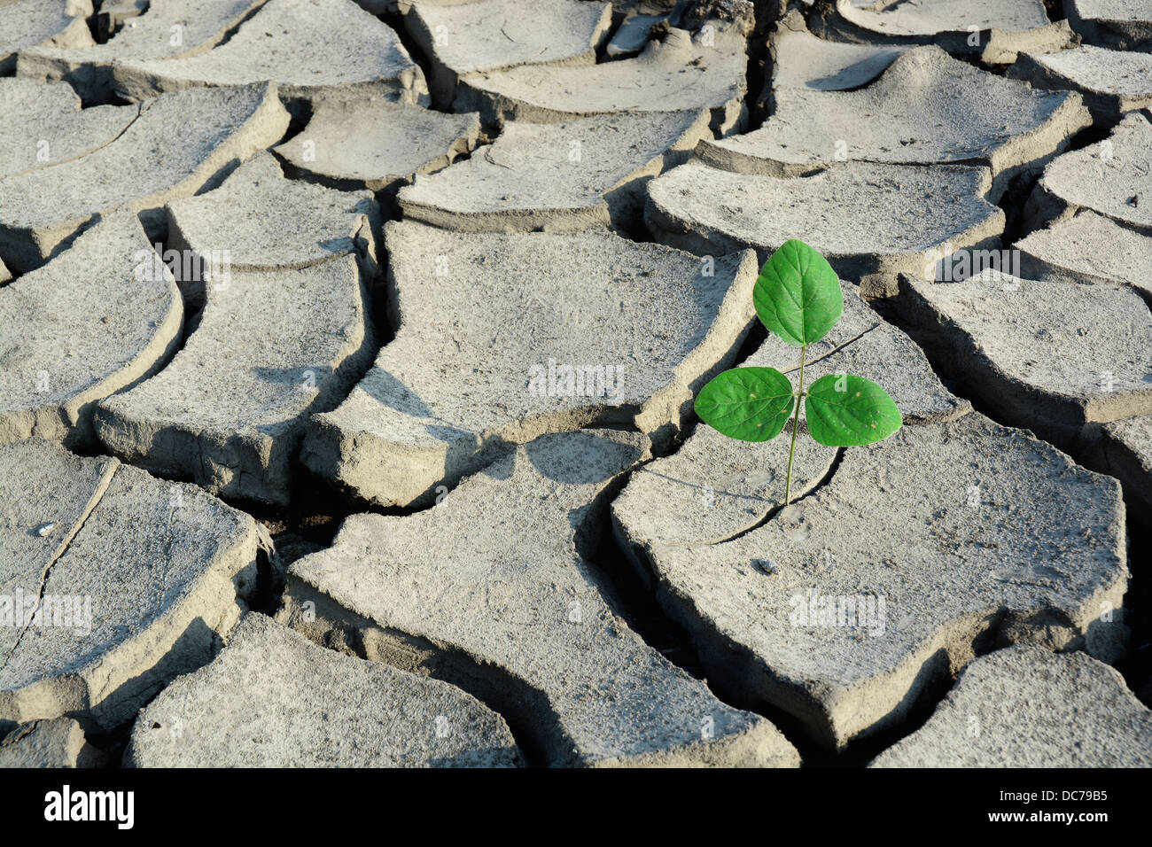 forza della natura Foto Stock