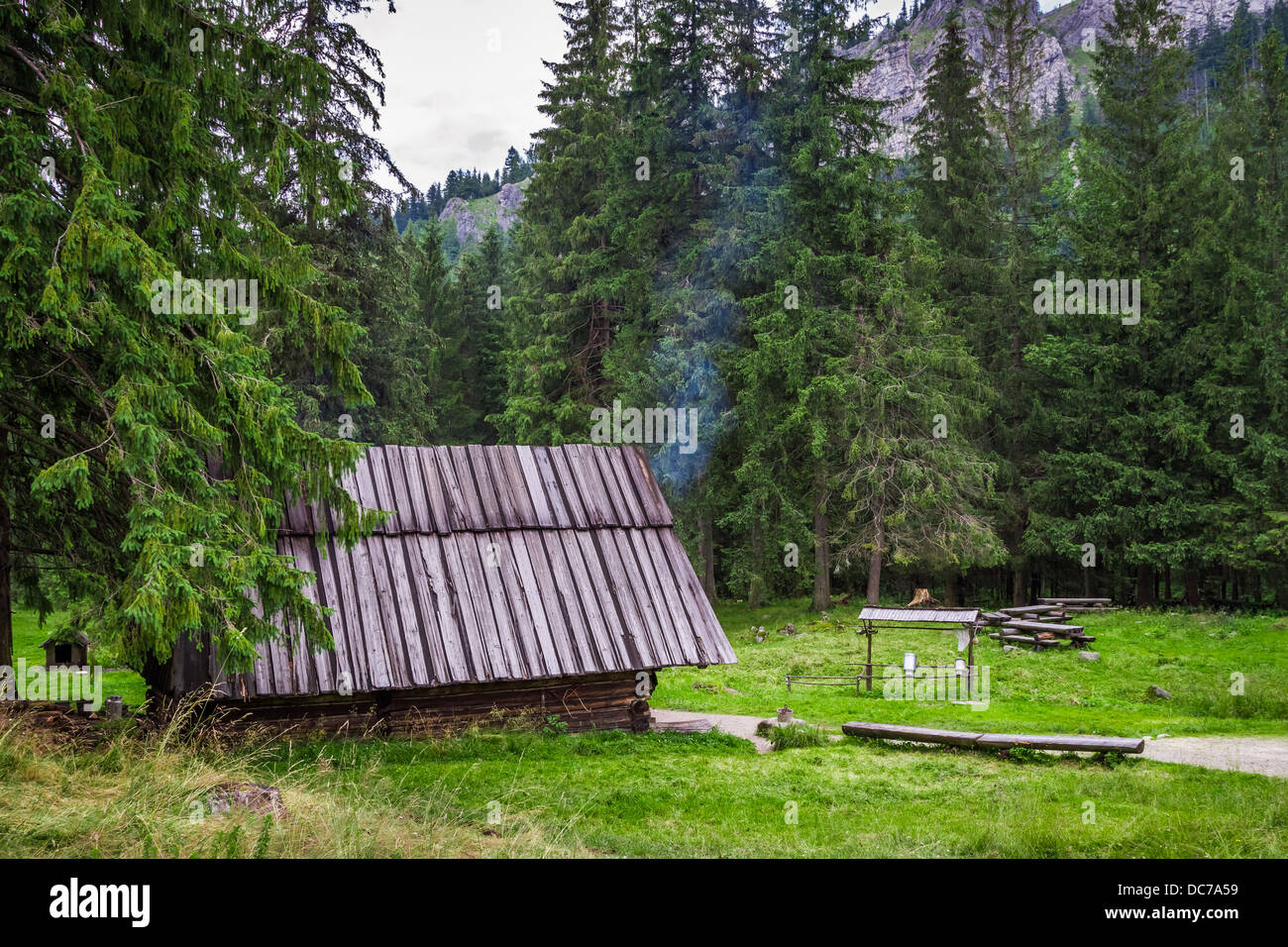 Affumicatoio di montagna nella foresta Foto Stock