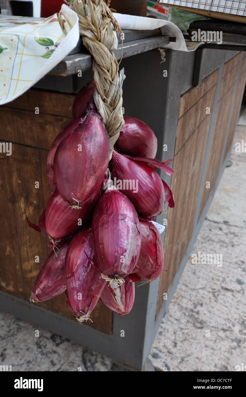 Stringa di cipolle per vendere in un mercato ortofrutticolo di Verona centro città Foto Stock