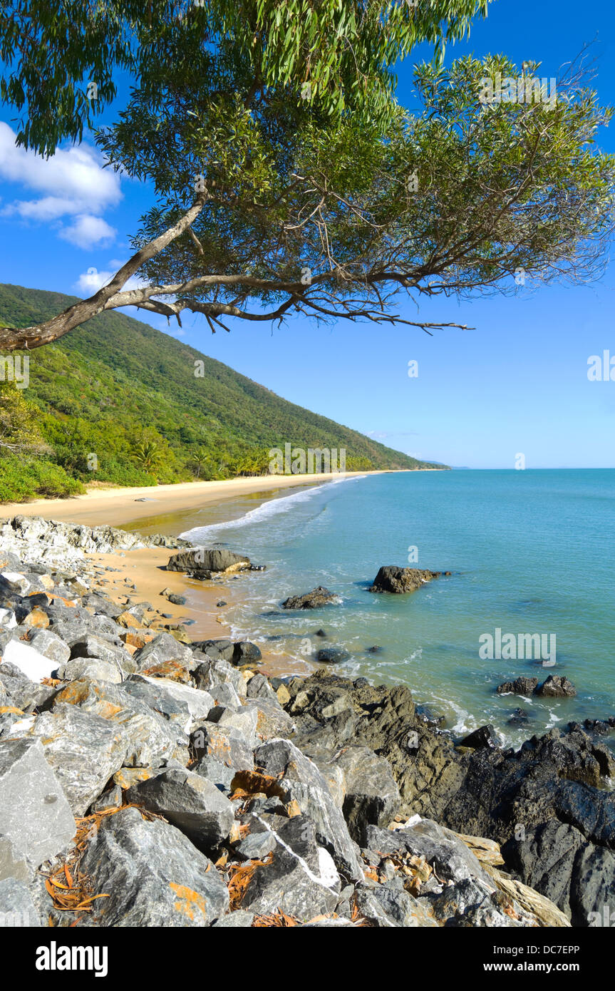 Vista panoramica di una spiaggia di sabbia nel lontano Nord Queensland costa, FNQ, QLD, Australia Foto Stock