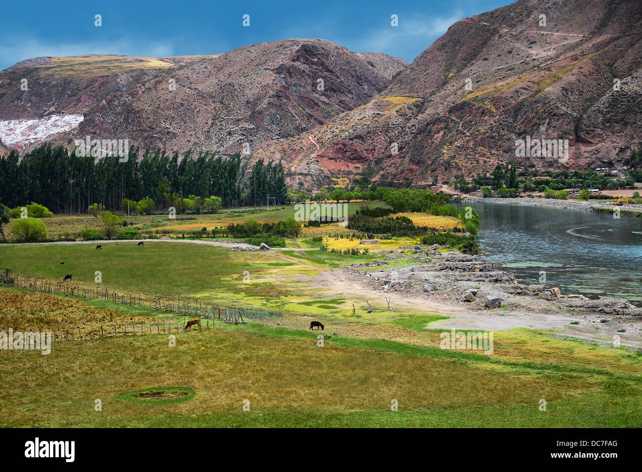 La Valle Sacra del Fiume Urubamba, campi e agricoltura. Foto Stock