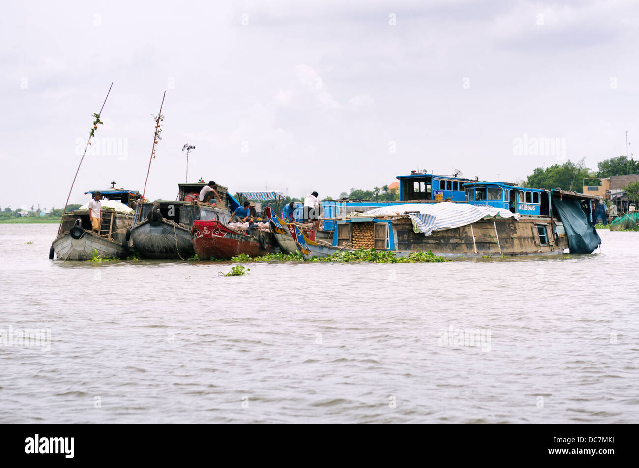 Delta del Mekong, Vietnam - mercato galleggiante Foto Stock