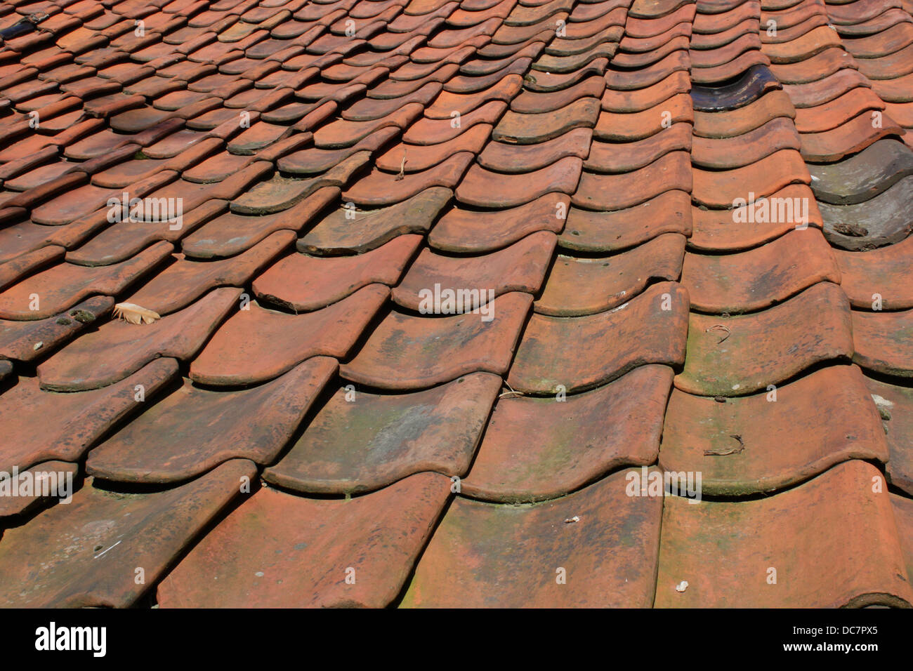 Tegole rosse in Blakeney, North Norfolk, Inghilterra, Regno Unito Foto Stock