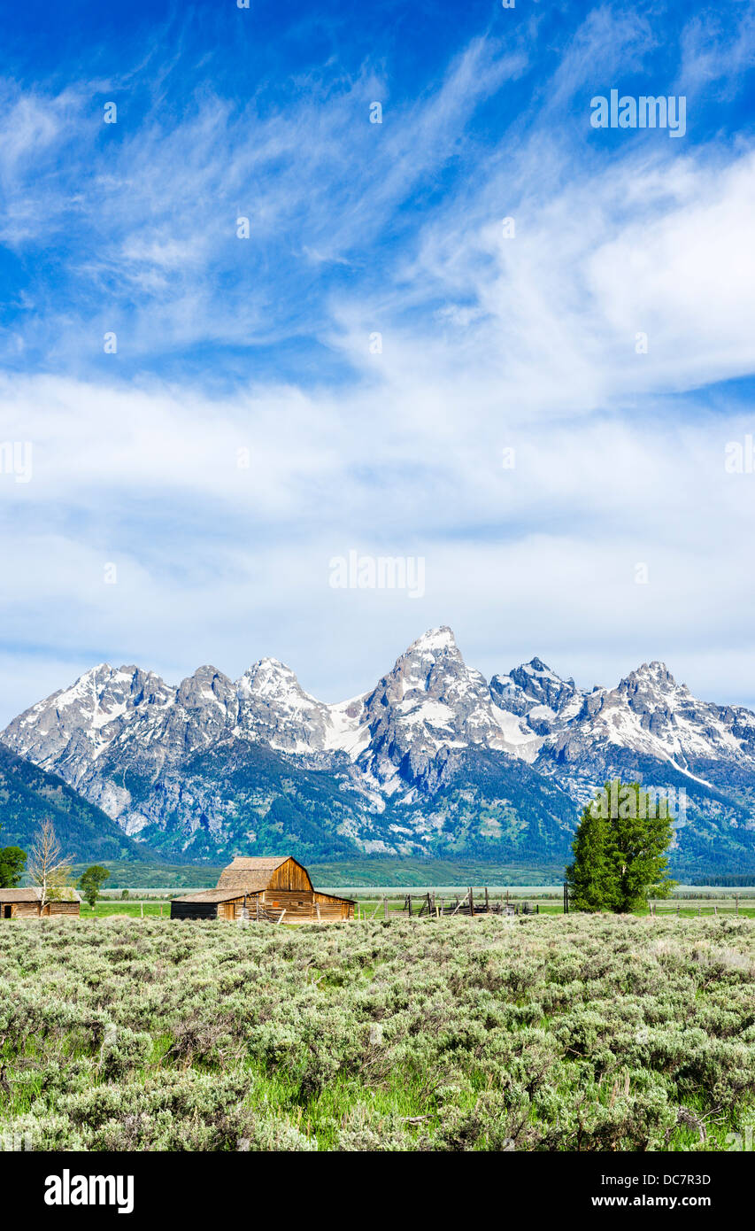 Storico fila Mormone, Grand Teton National Park, Jackson Hole, Wyoming USA Foto Stock