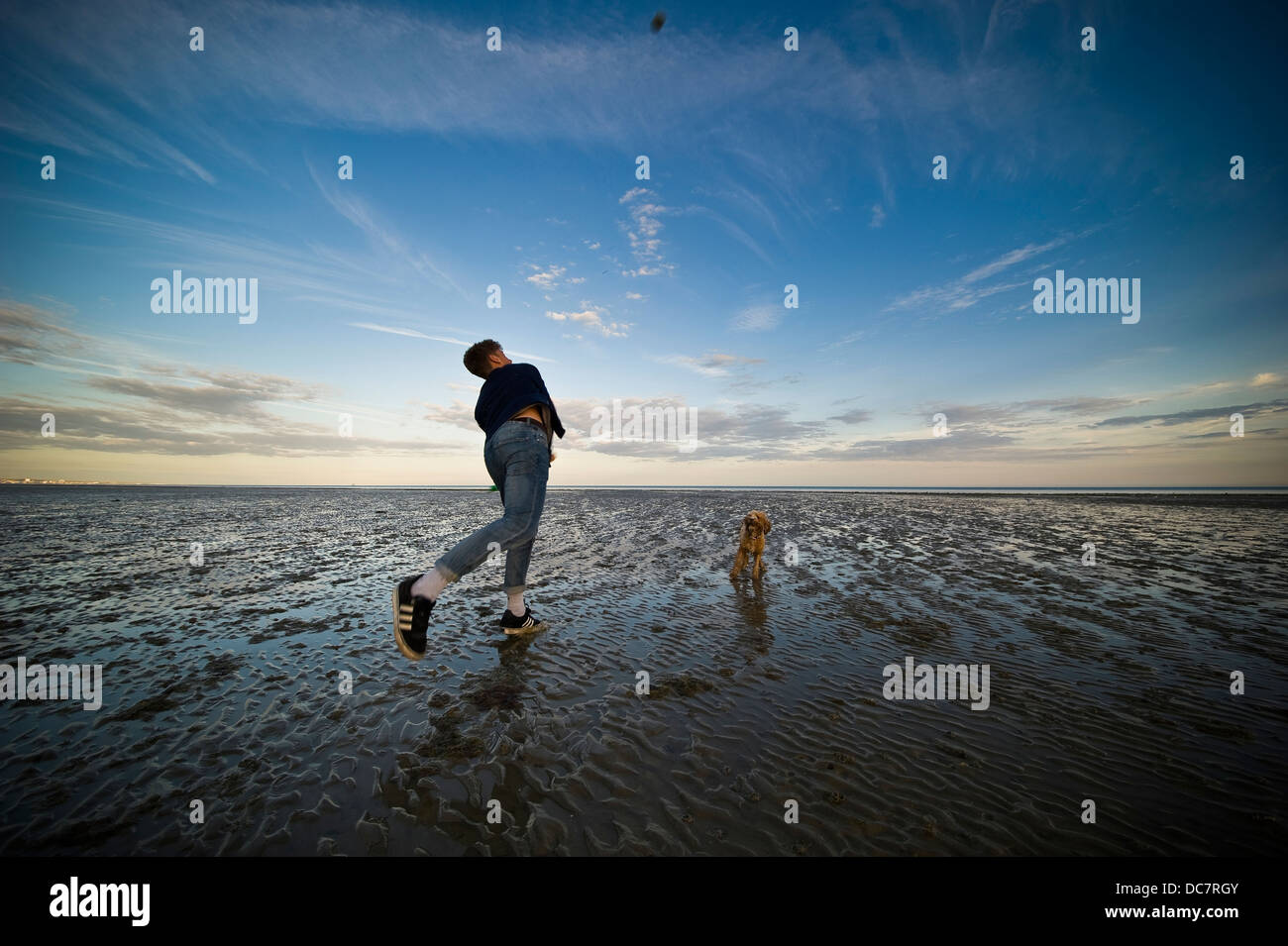 Giovane uomo gettando una sfera per il suo cane su Worthing Beach a bassa marea al tramonto. Foto Stock